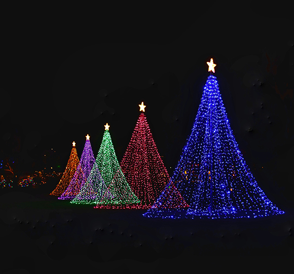 Denver Christmas light tours