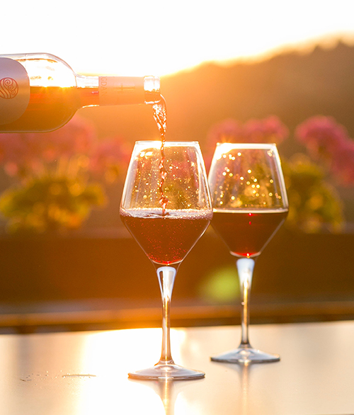 Wine tours in Denver