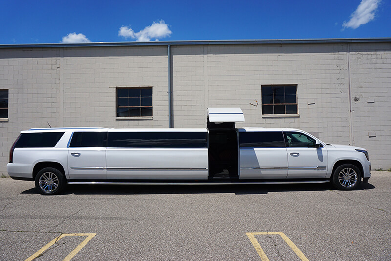 20-passenger limo rental